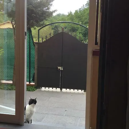 Casa Taiuti * San Piero a Sieve